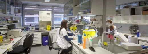 IRBLleida awarded 10 new grants to promote health research
