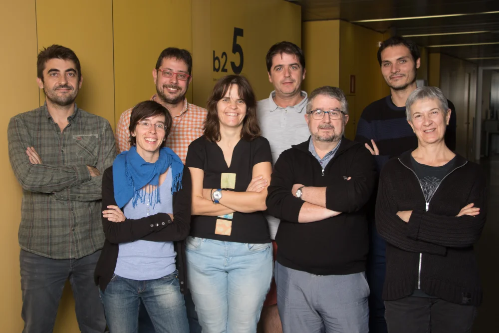 A model led by local researchers on strategies in breast cancer screening receives the highest rating among 18 proposals from around the world