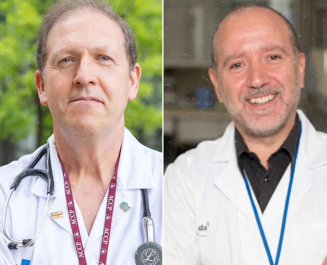Fins a 33 investigadores i investigadors de la UdL, entre els més citats del món al 2022