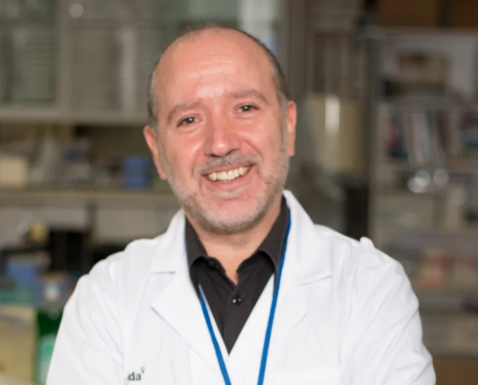 The UdL and IRBLleida, in a study on how aging affects the brain
