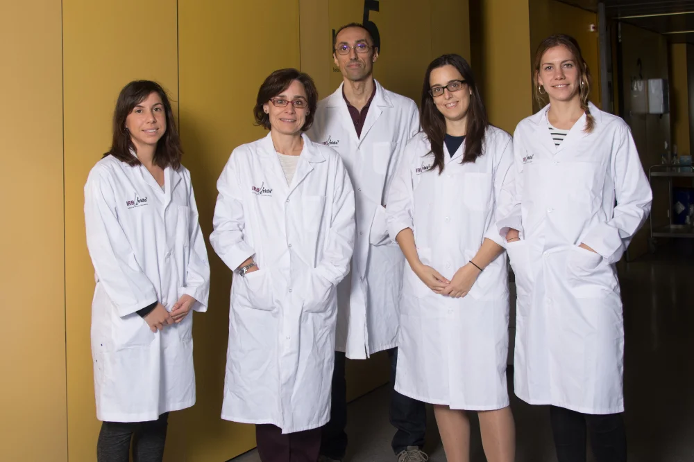 New targets for the treatment of glioblastoma, an aggressive tumor with few therapeutic options