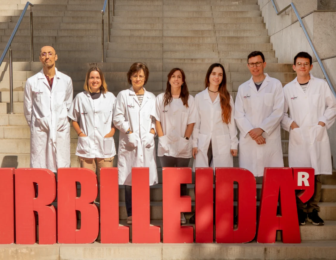 Validen la tecnologia del tumor-en-xip per examinar l’efecte d’un fàrmac contra el glioblastoma