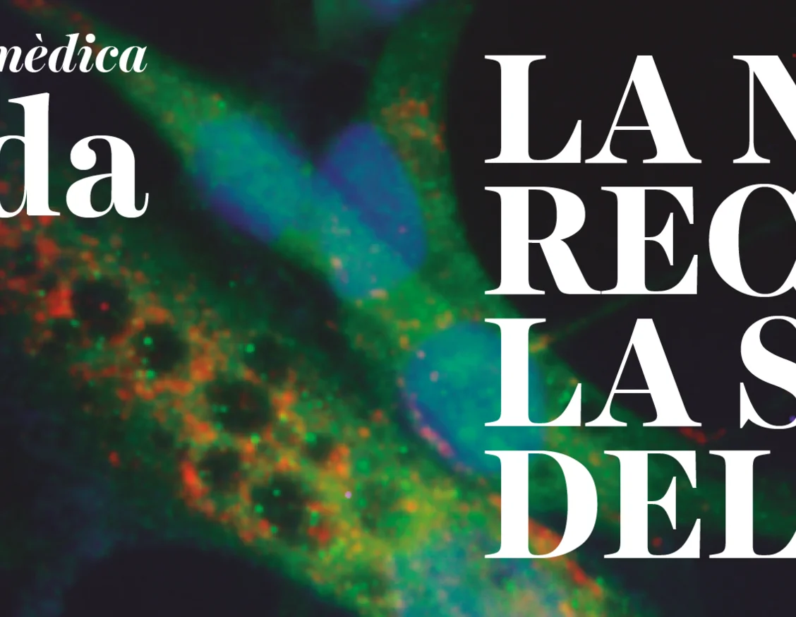 Premi de l’IRBLleida per al millor treball de recerca científic 2024