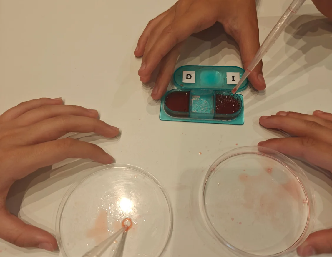 Around 750 secondary school pupils are taking part in a science workshop at IRBLleida during the 2025–2026 academic year