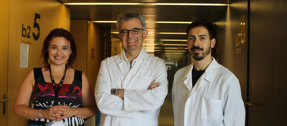 Activen una proteïna clau per completar el procés de mort per apoptosi en cèl·lules de glioblastoma