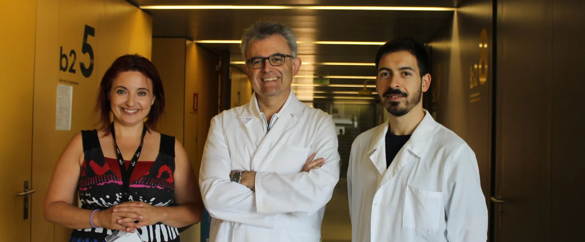 Activen una proteïna clau per completar el procés de mort per apoptosi en cèl·lules de glioblastoma