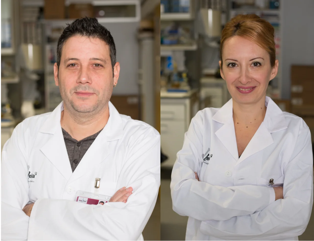Lleida study demonstrates the protective effect of a protein to reduce the progression of fibrosis of the kidneys