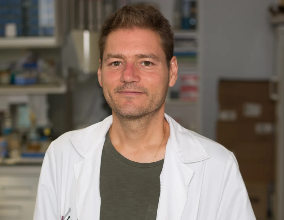 Una nova estratègia terapèutica per millorar el tractament del càncer d’endometri agressiu